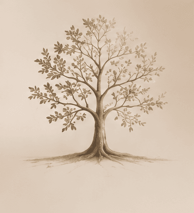 Delicate tree illustration for Soul reflections
