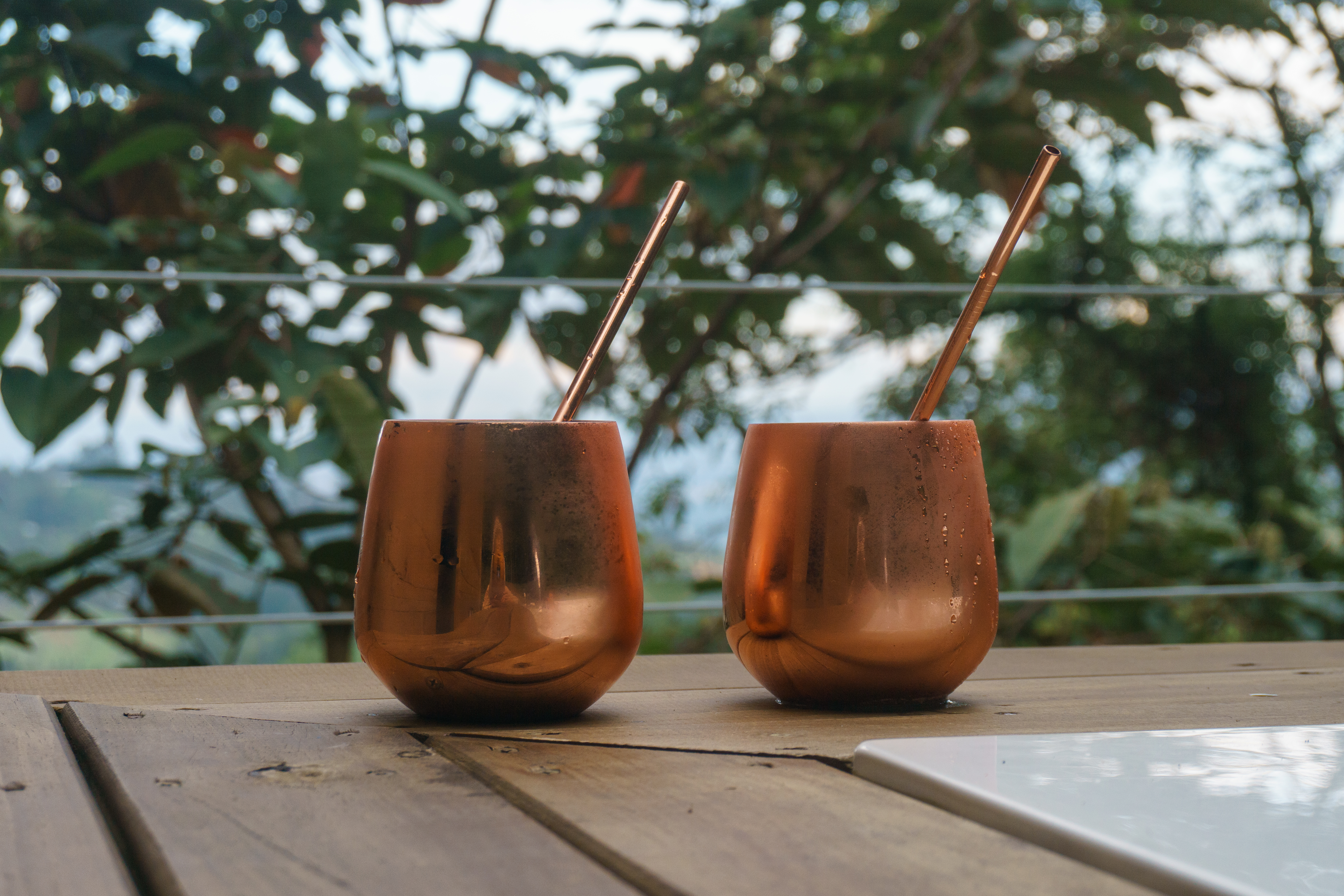 Copper water cups with metal straws